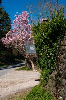 Temple Shaara Tefila