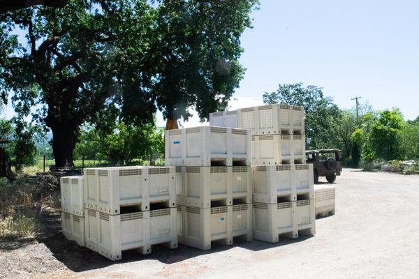 olive bins stacked outside