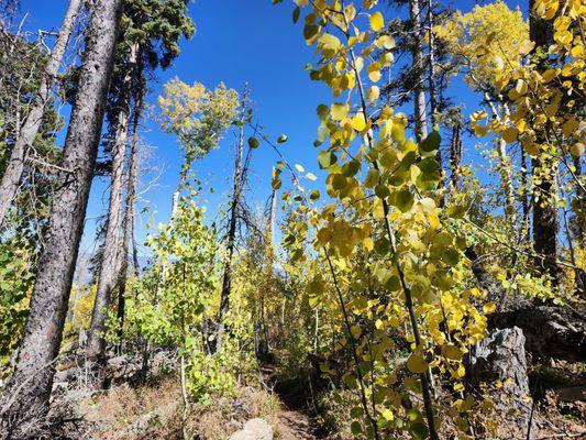 San Juan Hut Systems