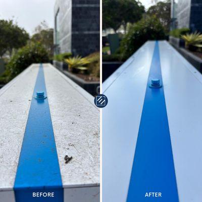 Elite Quality Dynamics