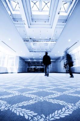 Immaculate Clean Carpet