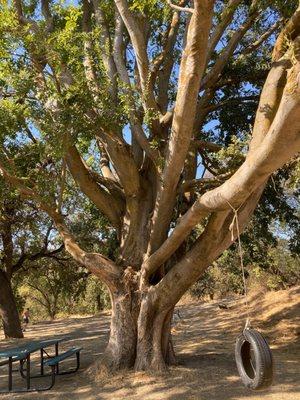 Brooks Road Trailhead
