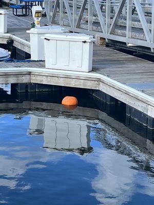 Walled Lake Northern High School