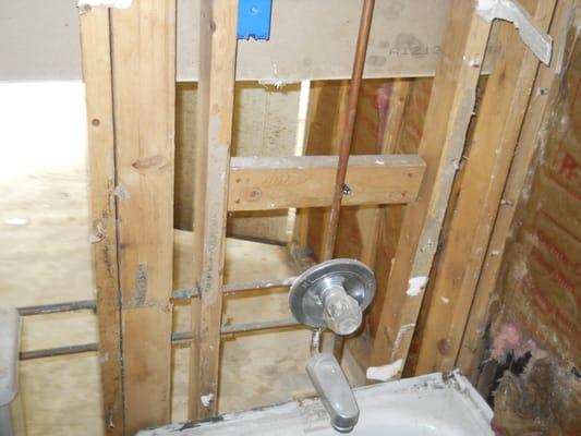 Certified Mold Consultants and Reconstruction