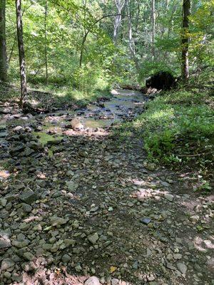 Talcott Reservoir Trail