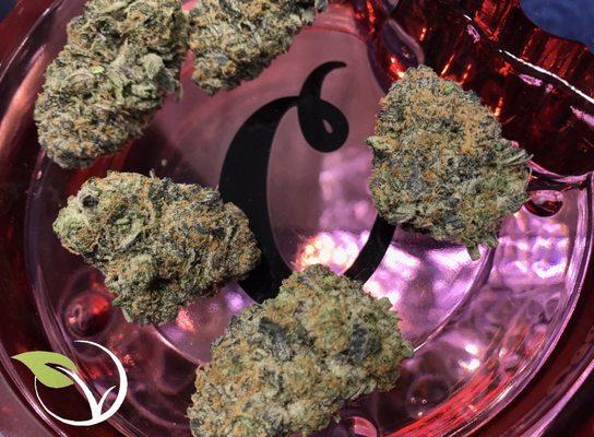 Candyland grown by Cookies Co.