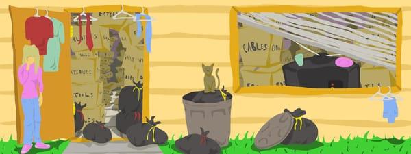 Tampa Hoarding Cleanup