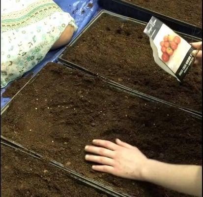 Starters for our community garden planted by our kids-2015