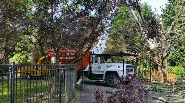 JD Tree Service