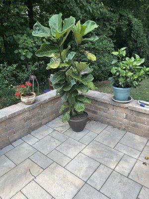 Carolina Landscape and Stone