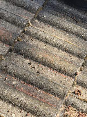 Pacific Building Maintenance