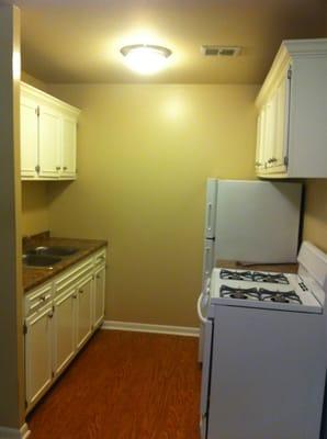 Kitchen in a one-bedroom.