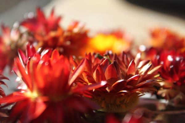 Abbondanza Massage and Wellness