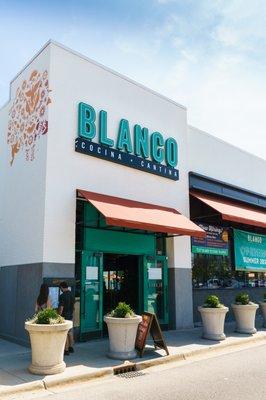 Blanco Cocina + Cantina