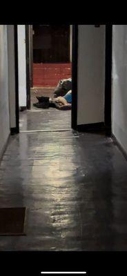 Here's him sleeping outside