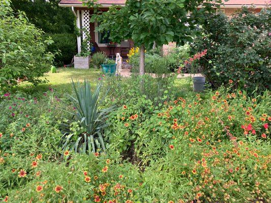 Logan's Lawn & Garden