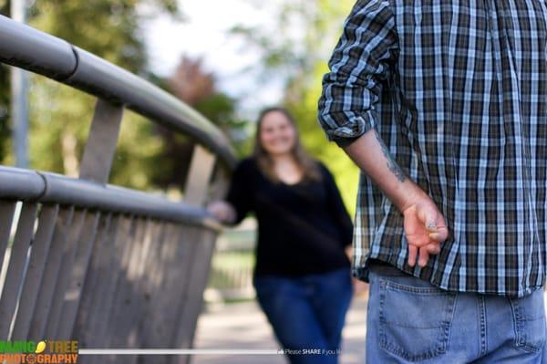 Mango Tree Photography