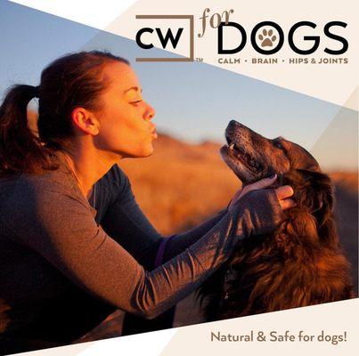 Natural and Safe for Dogs