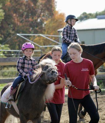 Shag Bark Hickory Farm