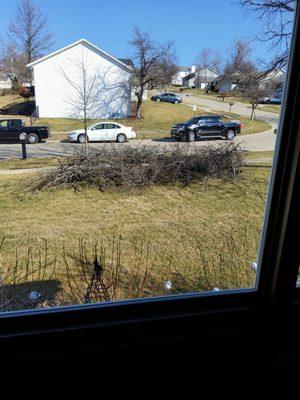 Johnson Tree Service