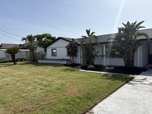 Coastal Greens Lawn and Tree