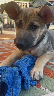 Cassie back to her happy self.