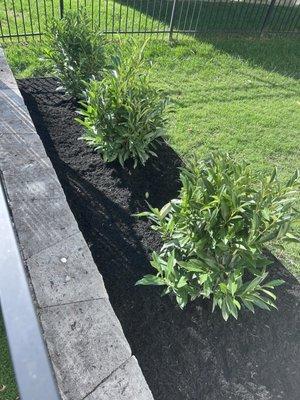 Jenkins Nursery & Landscaping