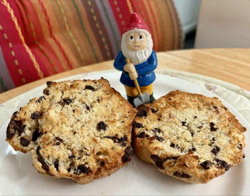 Remember back in October I'm glad I ate my Colson Scones before stomach surgery! Get them at Corrado! 11/24/25