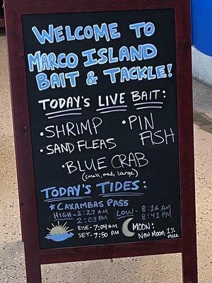 Marco Island Bait & Tackle