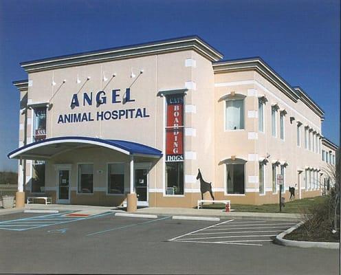Angel Animal Hospital