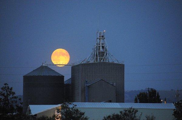 Harvest Ridge Organics