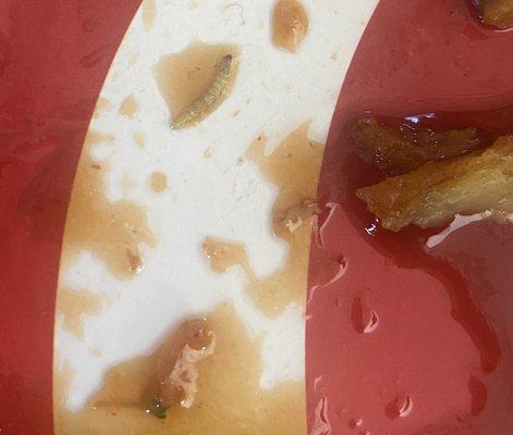 Hong Kong 1 Chinese Restaurant