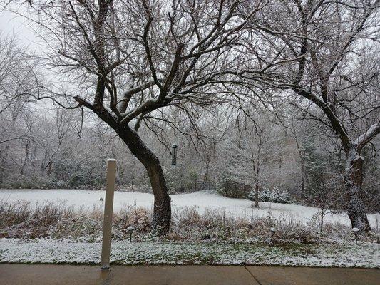 Mary Pegahi - Coldwell Banker