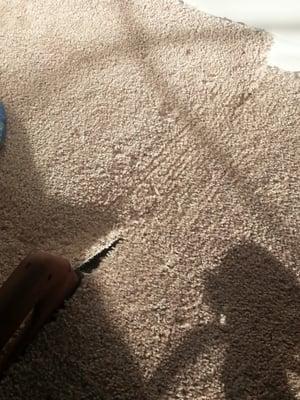 Carpet Boss Restoration
