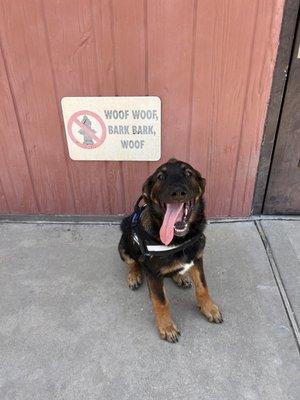 City Of Katy Dog Park