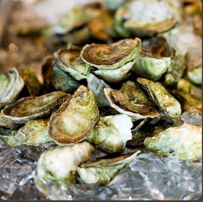 Local Matunuck Oyters