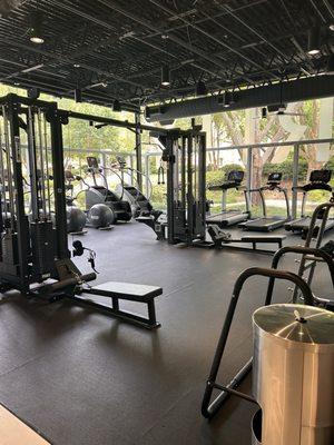 Nice weights and cardio area