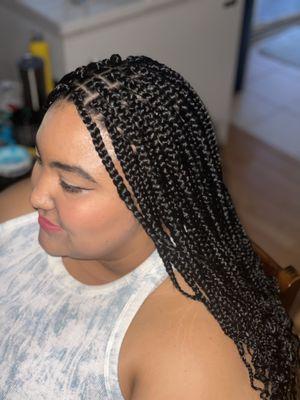 Box Braids $220 hair extensions included, trenzas sueltas medianas $220 extensiones incluidas