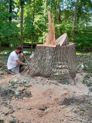 Bradley's Affordable Tree Service and Firewood