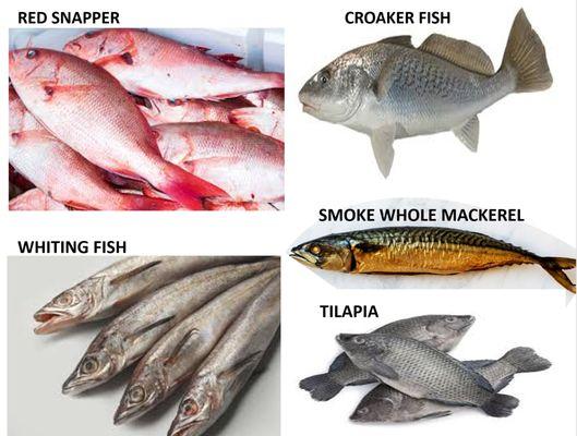 Fish