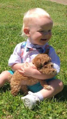 Hendrick Jennifer L DVM