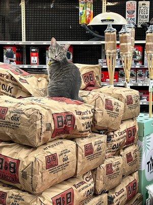 Fisher's Ace Hardware