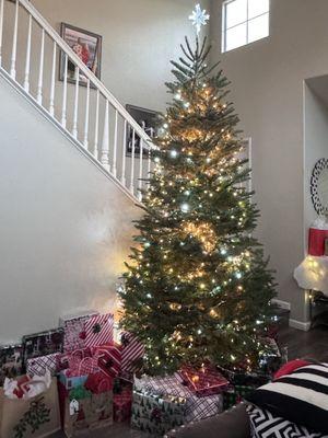 Frostys Village Christmas Trees