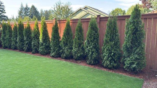 Apex Landscape And Building