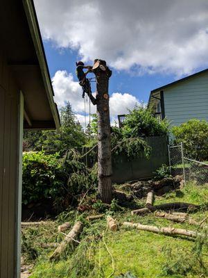 A Great American Tree Service