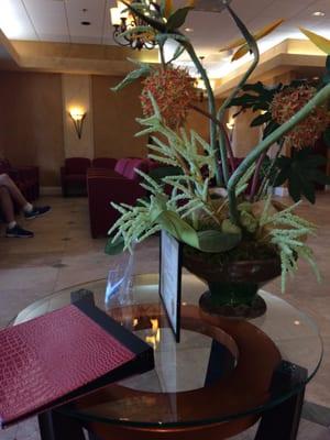 Mary Barbarite, ARNP - Parkland Medical Center