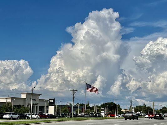 Ed Morse Alfa Romeo FIAT