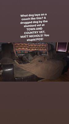 Town & Country Animal Hospital