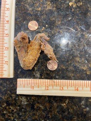 Baba's Philly Steak and Lemonade