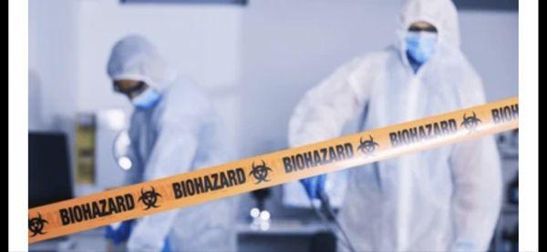 All Wireless Solutions